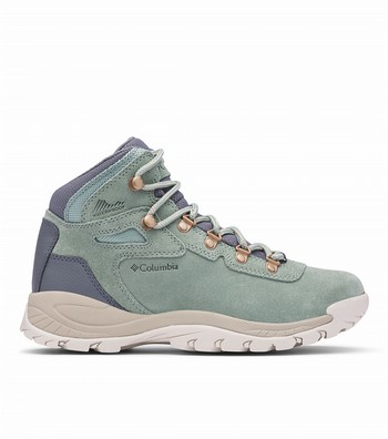 women's newton ridge plus waterproof amped hiking boot